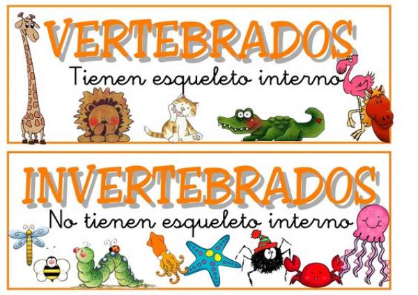 LOS ANIMALES