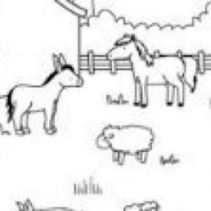 ANIMALES DOMÉSTICOS
