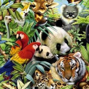 Imagen de portada del videojuego educativo: MEMORAMA DE ANIMALES , de la temática Medio ambiente