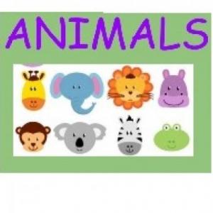 ANIMALS