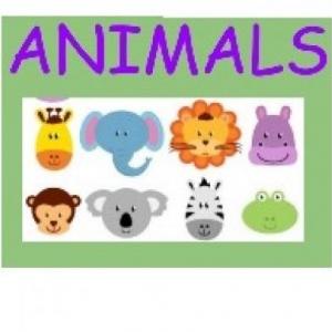 ANIMALS