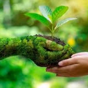 Causas y efectos del cambio climatico
