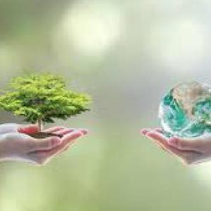 Medio ambiente