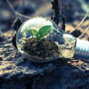 medio AMBIENTE
