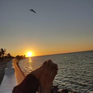 Te amo mi amor