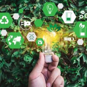 Sostenibilidad ambiental - Trivia