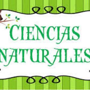 ¿Qué aprendimos en Naturales?