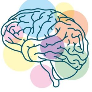 Imagen de portada del videojuego educativo: Sistema nervioso Parasimpático y Simpático, de la temática Ciencias
