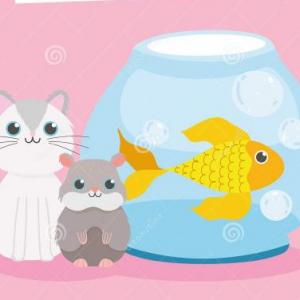 Mascotas