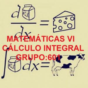Matemáticas VI
