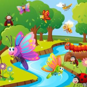DESCUBRIENDO INSECTOS