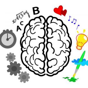 Trivia Natural