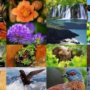 La biodiversidad