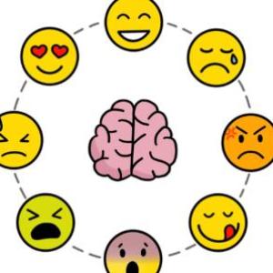 Identifica las emociones