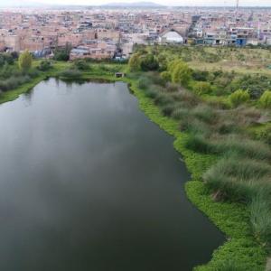 Estructura Ecológica Principal