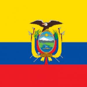 Mientra Juego Refuerzo y me Divierto