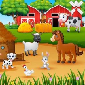 FARM ANIMAL