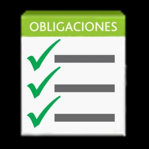 ¡MANOS A LA OBRA!