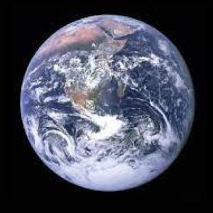 Principales biomas del planeta
