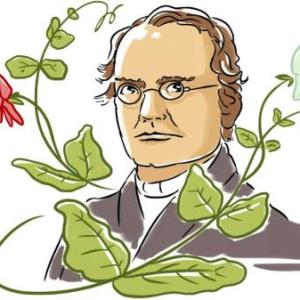 Trivia sobre las Leyes de Mendel