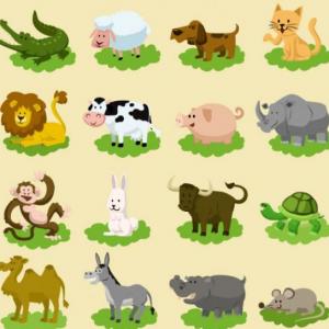 Animals