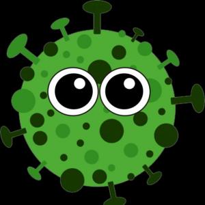 Conociendo a Virus