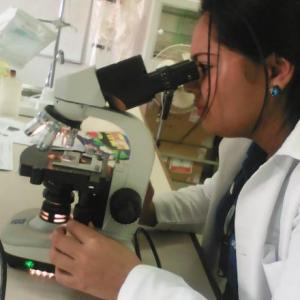 Ana Lucia   Medina Lezama