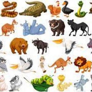 Los animales.