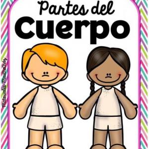 Partes del cuerpo