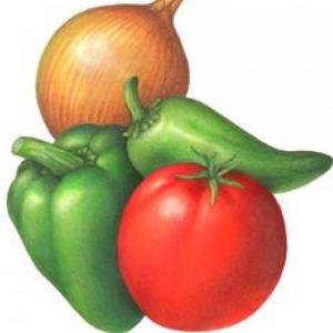 memoria de verduras