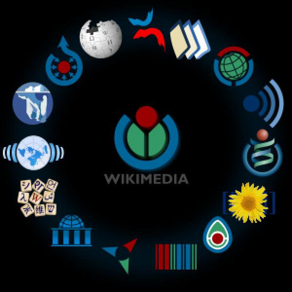 ¿Sabes sobre las wikis?