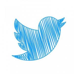 ¿Cuánto sabes de Twitter?
