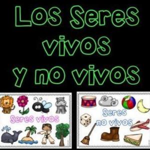 LOS SERES VIVOS Y NO VIVOS