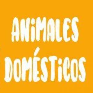 JUEGO DEL AHORCADO Y MEMORIA CON ANIMALES DOMESTICOS