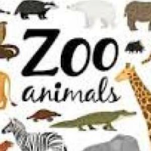 ZOO ANIMALS