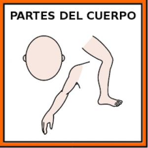 Partes del Cuerpo Pictogramas