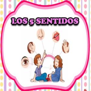 Usemos los sentidos.