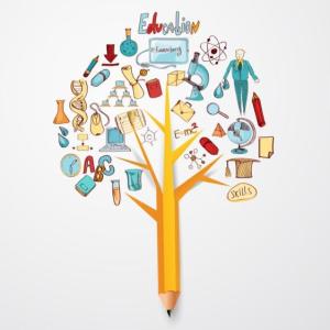 Escoge la mejor respuesta Recursos didácticos en la educación 