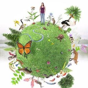 Imagen de portada del videojuego educativo: Aspectos e importancia de la biodiversidad, de la temática Geografía