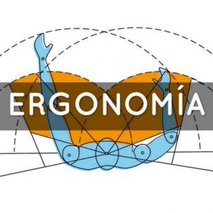 CONCEPTOS DE ERGONOMÍA