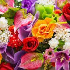¡Encuentra las flores!
