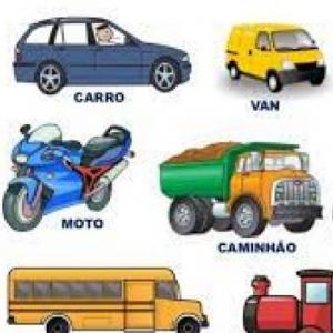 Medios de Transporte Terrestre