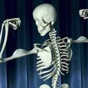 TRIVIA DEL SISTEMA ÓSTEO-ARTRO-MUSCULAR