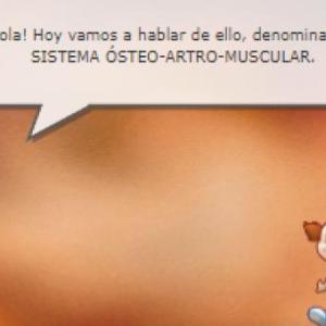 SISTEMA ÓSTEO-ARTRO-MUSCULAR