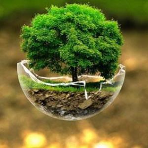 Contaminación del aire