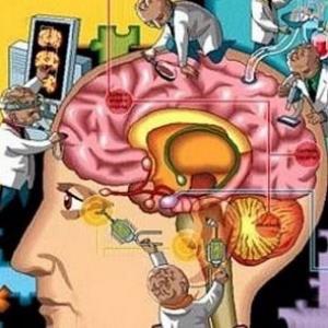 Imagen de portada del videojuego educativo: Teoría de la Personalidad Humana Sigmund Freud , de la temática Personalidades