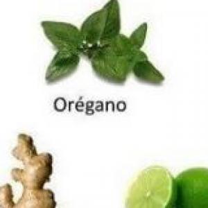 Plantas medicinales