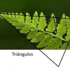 Clasificamos los triángulos