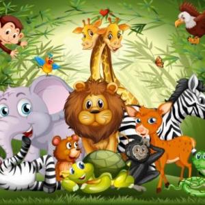 Los animales y sus características
