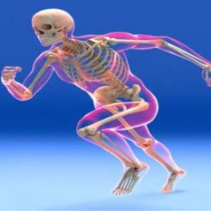 Imagen de portada del videojuego educativo: Sistema óseo, de la temática Biología